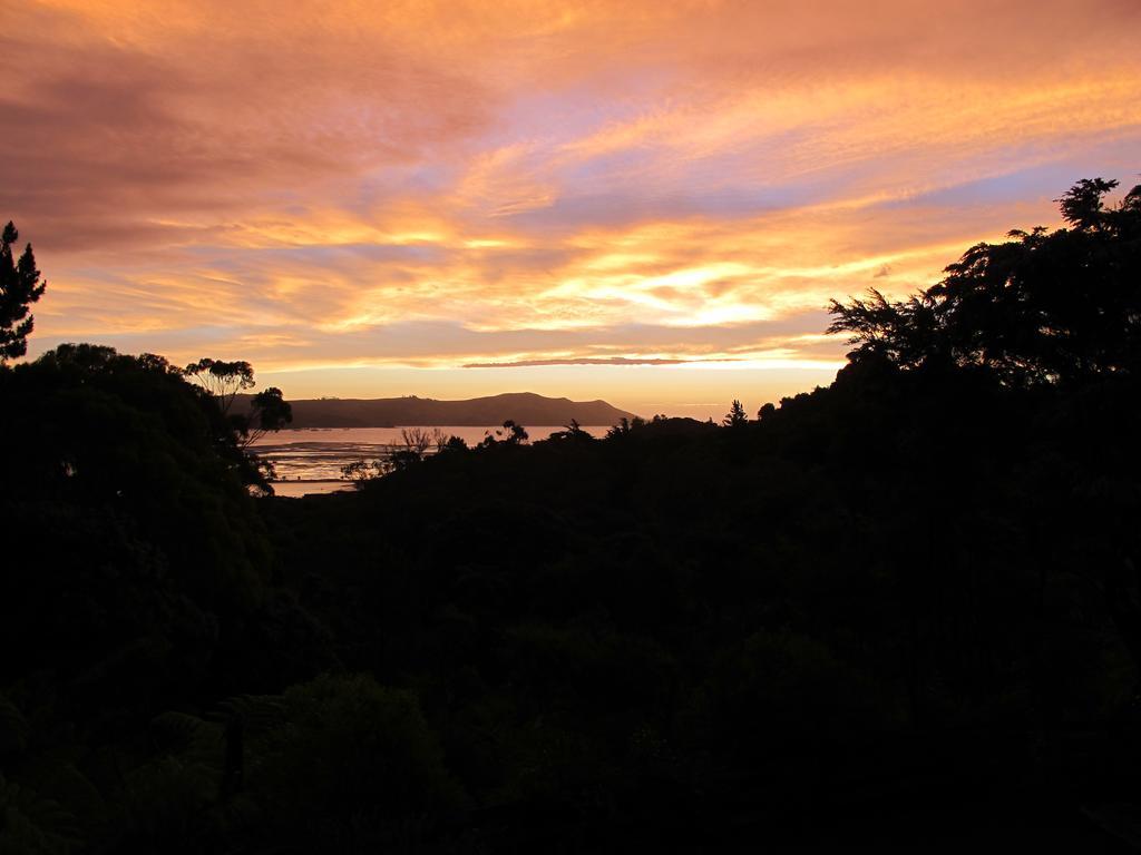 Studio 531 Coromandel Camera foto